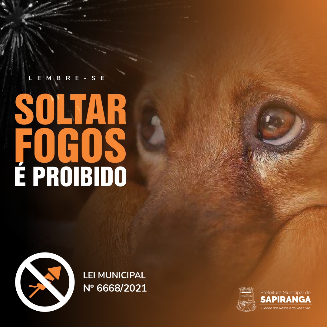 POPUP fotos de artifício PROIBIDOS 3 popup