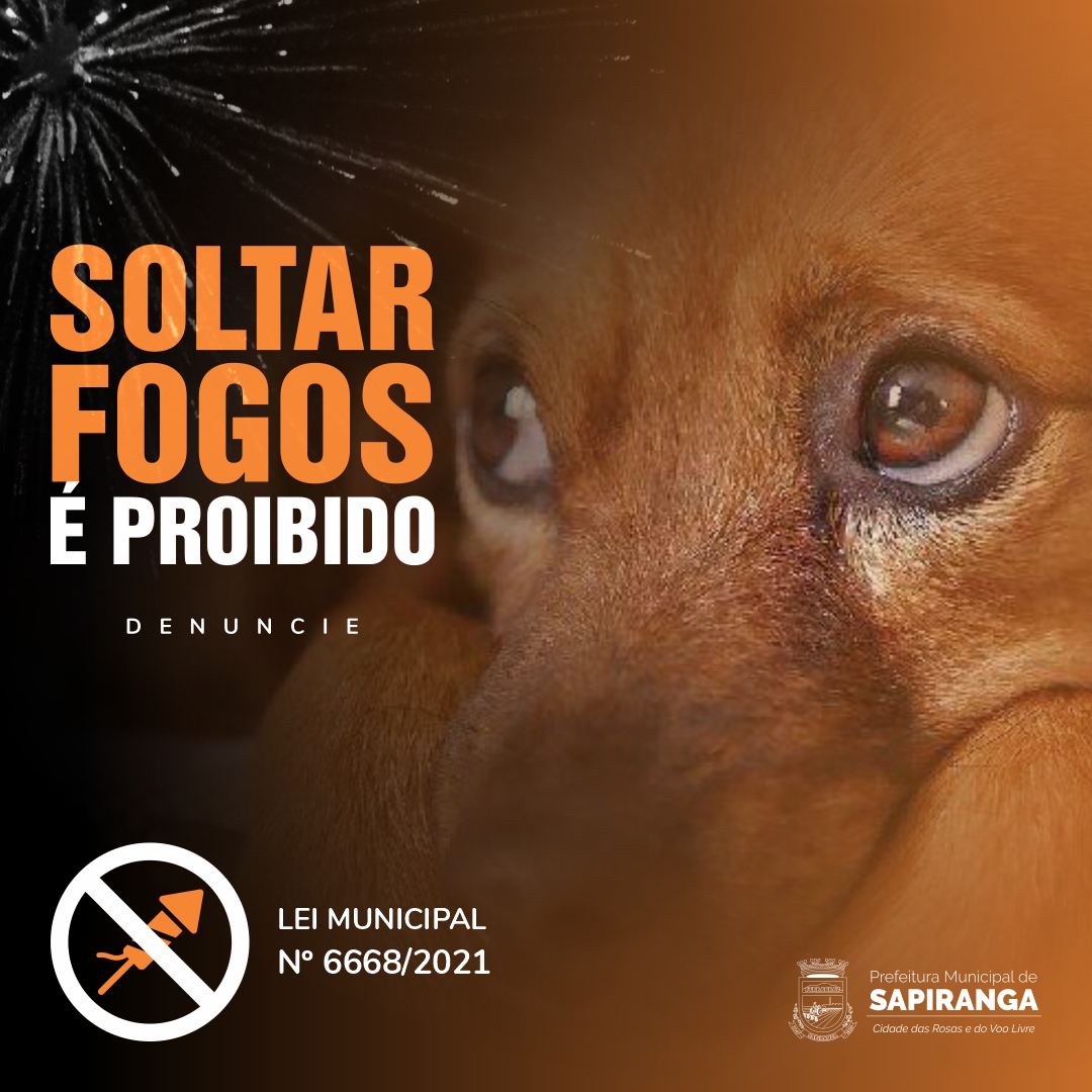 POPUP fotos de artifício PROIBIDOS 3 popup