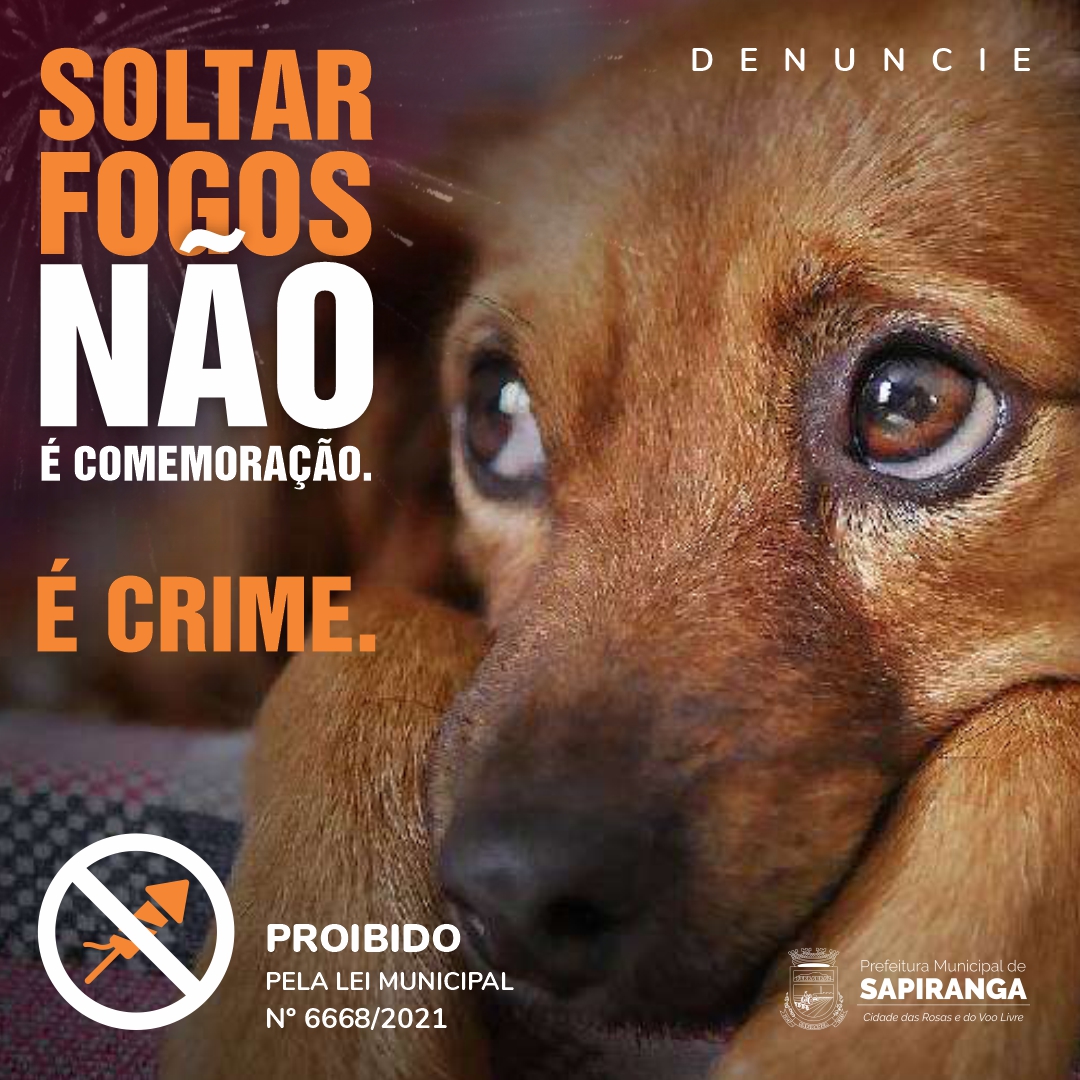 POPUP fotos de artifício proibidos 2x