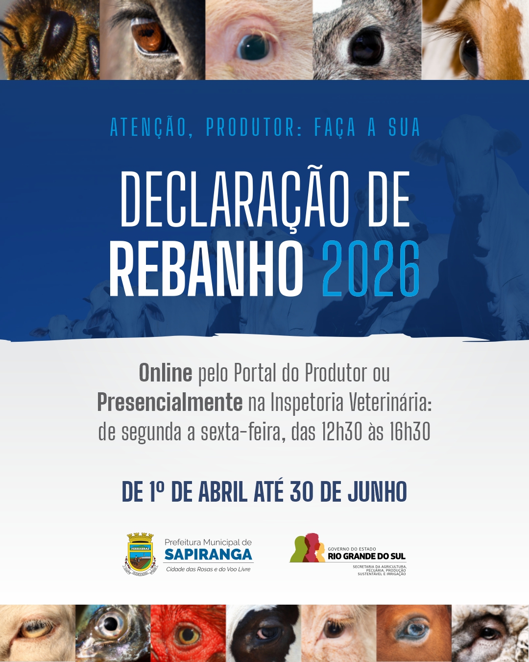 card declaração anual de rebanhos 2026 2 CARD.jpg