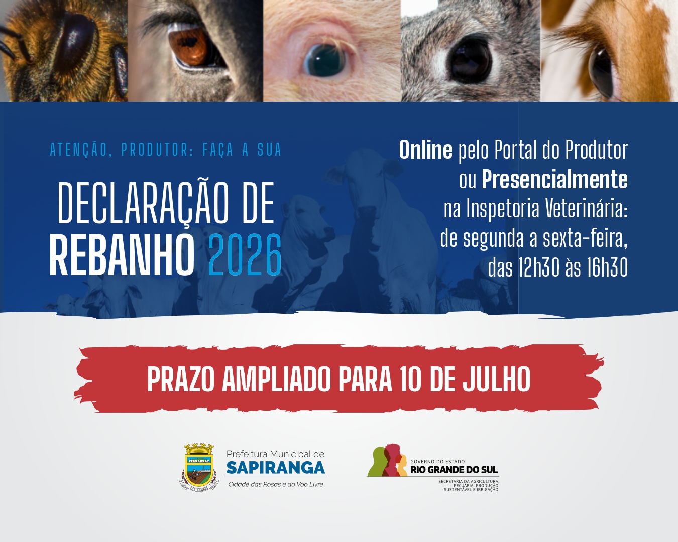 card declaração anual de rebanhos 2026 2 PRORROGADO capa matéria.jpg